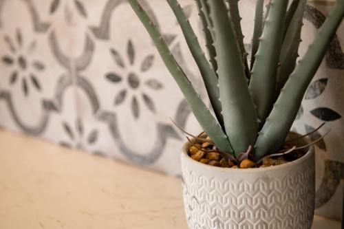 a white vase with a green plant in it at Modern 3 Bedroom Home in Central Rugby in Rugby