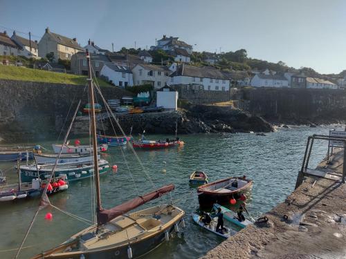 a group of boats are docked in the water at Celtic Longhouse Tent at Coverack Camping in Coverack