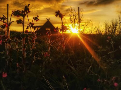 a sunset over a field with flowers in front of a house at Celtic Longhouse Tent at Coverack Camping in Coverack