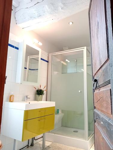une salle de bain avec un lavabo et une douche dans l'établissement La maison perchée, à Bayeux