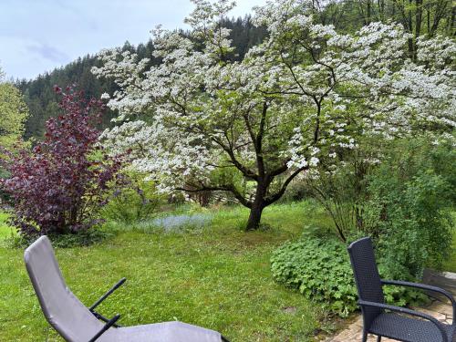 Un jardín fuera de Apartment Grössenberg