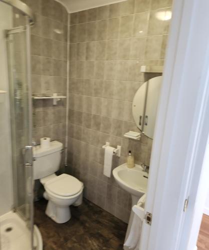 a bathroom with a toilet and a sink at The Tuckers Arms in Dalwood