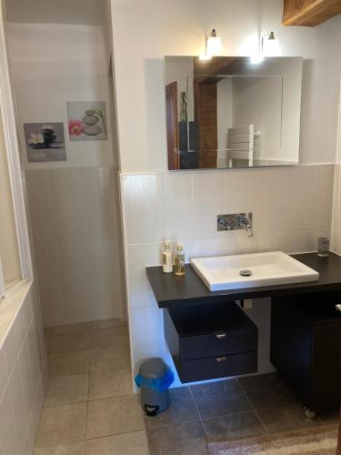 a bathroom with a sink and a mirror at La Grange in Naillat