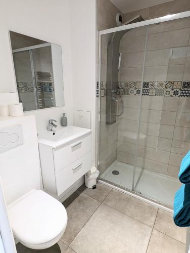 une salle de bain avec une douche, des toilettes et un lavabo dans l'établissement Pont du Lys - proche plages - piscine, à Juan-les-Pins