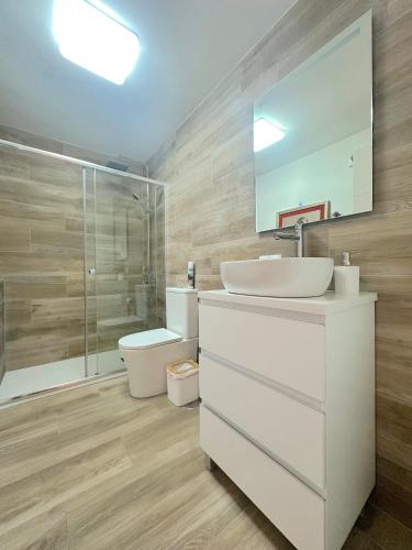 a bathroom with a sink and a toilet and a shower at GARDEN HOUSE Malaga City in Málaga