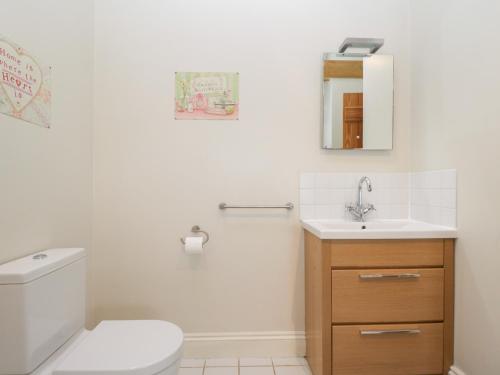 un bagno con un water e un lavandino di South Barn Cottage a Faringdon