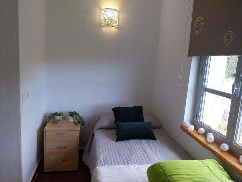 Ave Ibis eremita Vejer