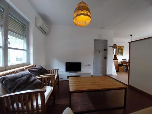 Ave Ibis eremita Vejer