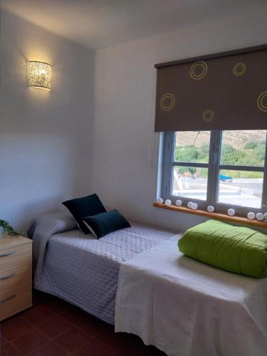 Ave Ibis eremita Vejer