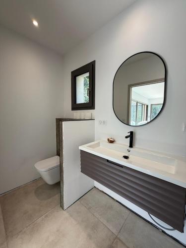 une salle de bain avec un lavabo, des toilettes et un miroir dans l'établissement Le Mazet, Dépendance au cœur de la garrigue, à Nîmes