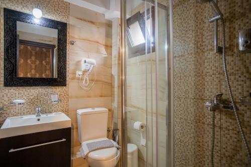 a bathroom with a shower and a toilet and a sink at Toti Boutique Rooms in Kalabaka