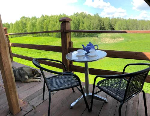 a table and two chairs and a dog laying on a porch at Apartament z tarasem i widokiem na las in Konopki Małe
