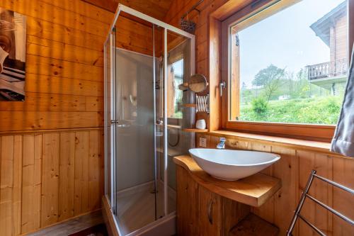 a bathroom with a sink and a glass shower at Chalet Les Skieurs in Notre-Dame-du-Pré