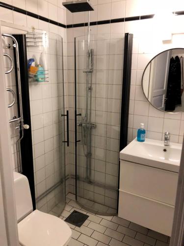 a bathroom with a shower and a toilet and a sink at Apartment in So-Fo at Södermalm 24sqm in Stockholm