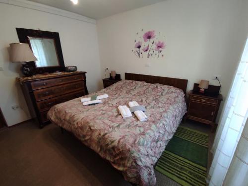 a bedroom with a bed and a dresser and a mirror at Casa vacanze jsabel in Pieve Tesino