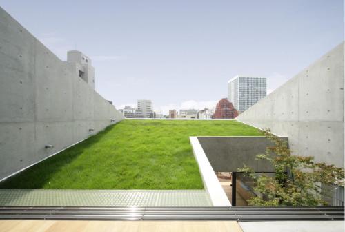 GRASS BLDG 501