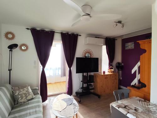 un salon avec un canapé et une télévision dans l'établissement Superbe Appartement Tout Confort, au Barcarès