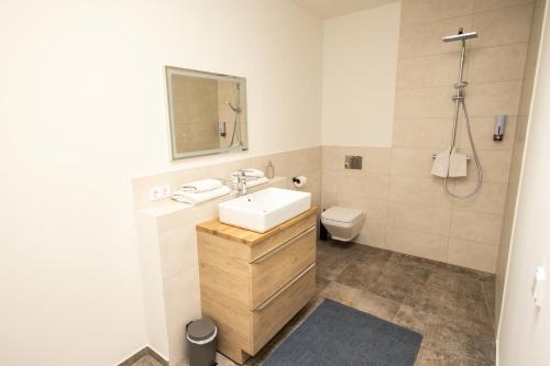 a bathroom with a sink and a toilet at Havelpension in Rathenow