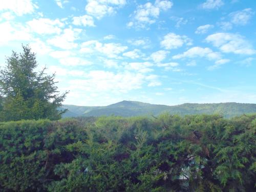 - une vue sur un champ d'arbres et de montagnes dans l'établissement Appartement indépendent dans villa au cœur du Var, à Gonfaron