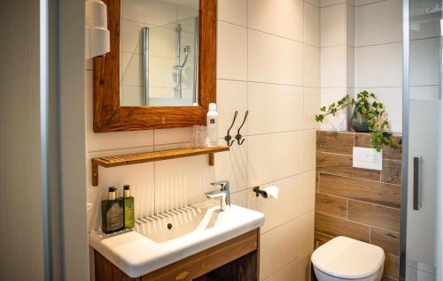 a bathroom with a sink and a toilet at Stunning Home In Blokzijl With Wifi in Blokzijl