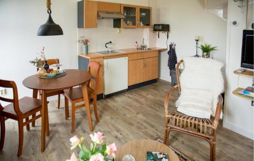 Kuchyň nebo kuchyňský kout v ubytování Cozy Home In Blokzijl