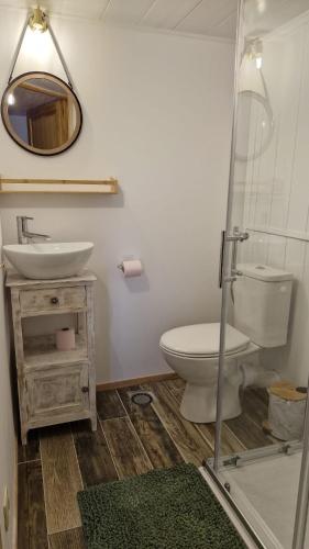 une salle de bain avec toilettes, lavabo et miroir dans l'établissement La Maison Rose, à Bertignat