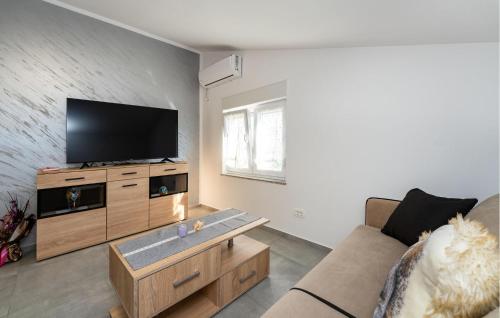 Μια τηλεόραση ή/και κέντρο ψυχαγωγίας στο Awesome Apartment In Gornji Karin