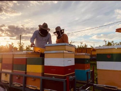 two people sitting on top of boxes on a trailer at Conacul Mierii in Străşeni