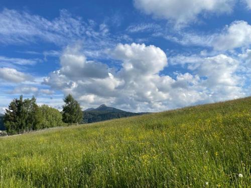 a green hill with a field of grass and flowers at Chalet Schlossberg Weißhorn in Nova Ponente