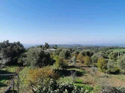 Φυσικό τοπίο κοντά σε αυτό το κάμπινγκ