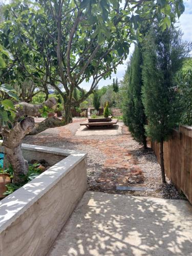 a garden with a fence and trees and a pathway at Casa Estrella in Villafamés