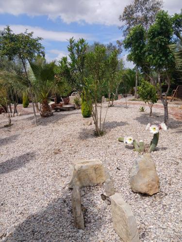 a garden with rocks and trees and plants at Casa Estrella in Villafamés