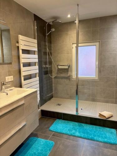 une salle de bain avec une douche avec un lavabo et une douche dans l'établissement La Colombe, à Beblenheim