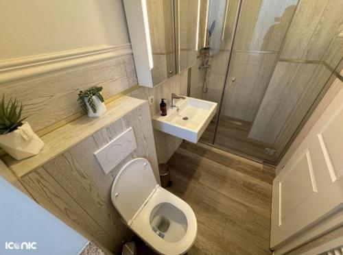 a bathroom with a toilet and a sink and a shower at Apartament de lux central in Satu Mare