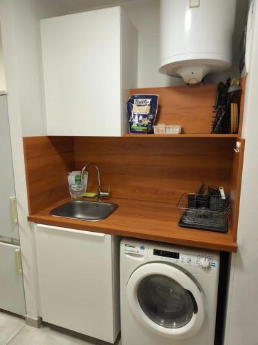 eine Küche mit Spüle und Waschmaschine in der Unterkunft Studio Ljubljana in Ljubljana