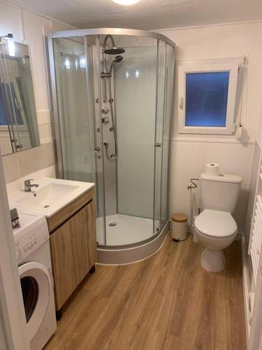 une salle de bain avec une douche, des toilettes et un lavabo dans l'établissement Maison Cosy 3 chambres proche de Dieppe, à Saint-Nicolas-dʼAliermont