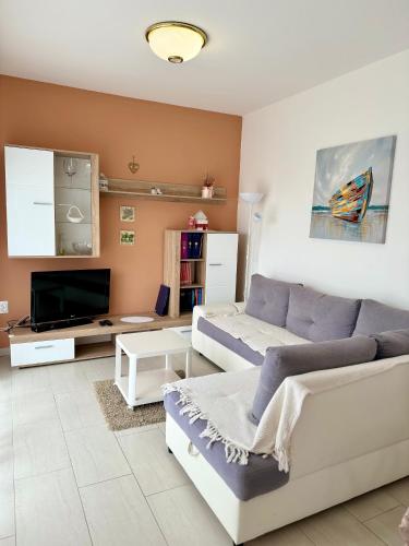 Apartments by the sea Novalja, Pag - 3307