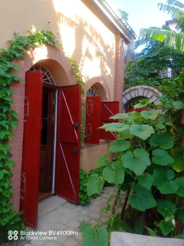 a red door on the side of a building at My Little House in Mandriankeniheny