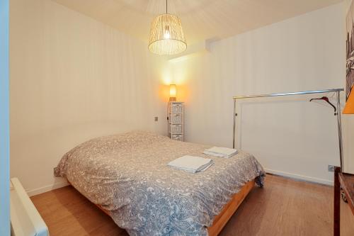 a bedroom with a bed and a chandelier at Studio Rennes - Proche Ste Anne in Rennes