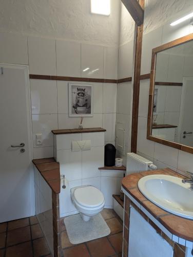 a bathroom with a toilet and a sink at Ferienwohnung Rheinwald in Hartheim