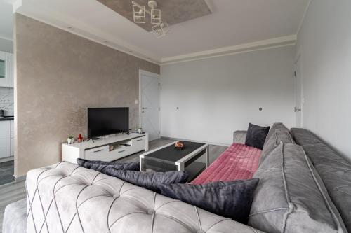 a living room with a couch and a tv at Apartman Ivana in Novi Beograd