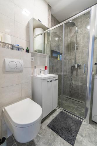 a bathroom with a shower and a toilet and a sink at Apartman Ivana in Novi Beograd