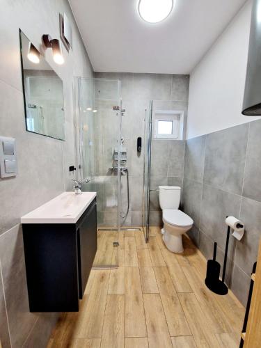 a bathroom with a shower and a sink and a toilet at Domki Paula in Kudowa-Zdrój