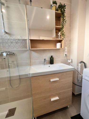 une salle de bain avec un lavabo et une douche dans l'établissement Charming apartment Sablon, à Metz