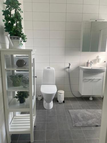 a bathroom with a white toilet and a sink at villa near Åda golf in Trosa