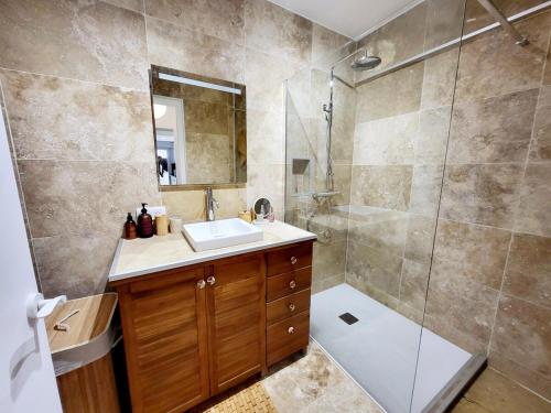 une salle de bain avec un lavabo et une douche dans l'établissement Center of Antibes, Les Amaryllis - 3 Rooms, 5 minutes from the beaches, à Antibes