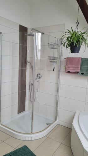 Koupelna v ubytování La Belle Maison