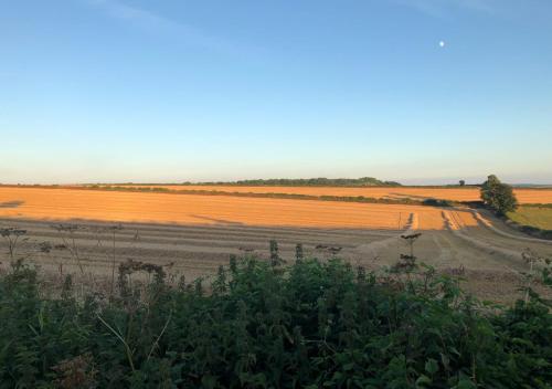 a field with a dirt road in the middle at Stylish 1-bed Cottage Escape in Piddlehinton in Piddlehinton