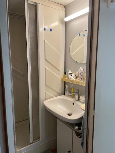 une salle de bain avec un lavabo et une douche avec un miroir dans l'établissement La Cabane, à Cruzilles-lès-Mépillat