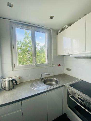 une petite cuisine avec un évier et une fenêtre dans l'établissement Appartement Porte d'Orléans Paris, à Paris